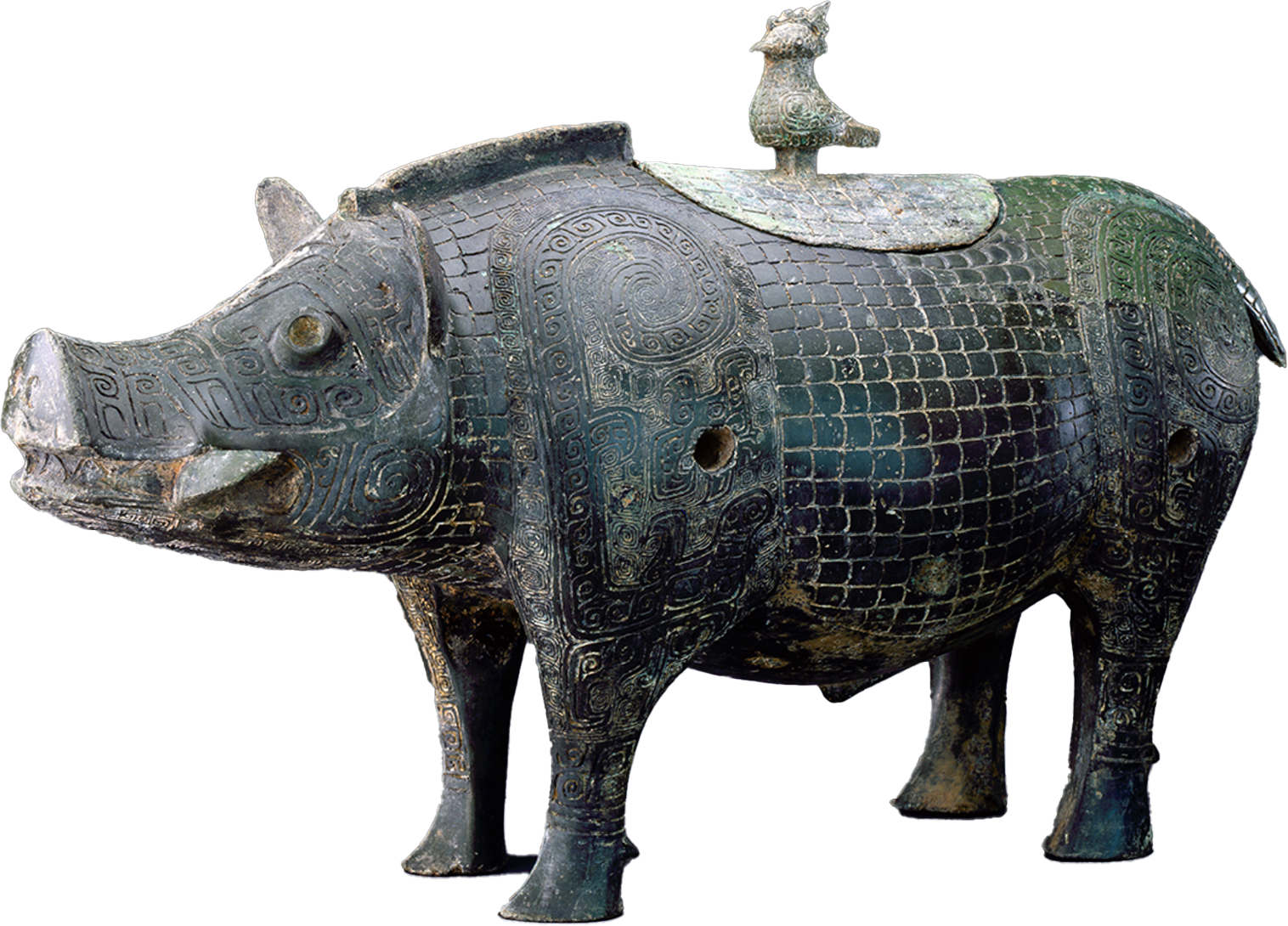 bronze pig