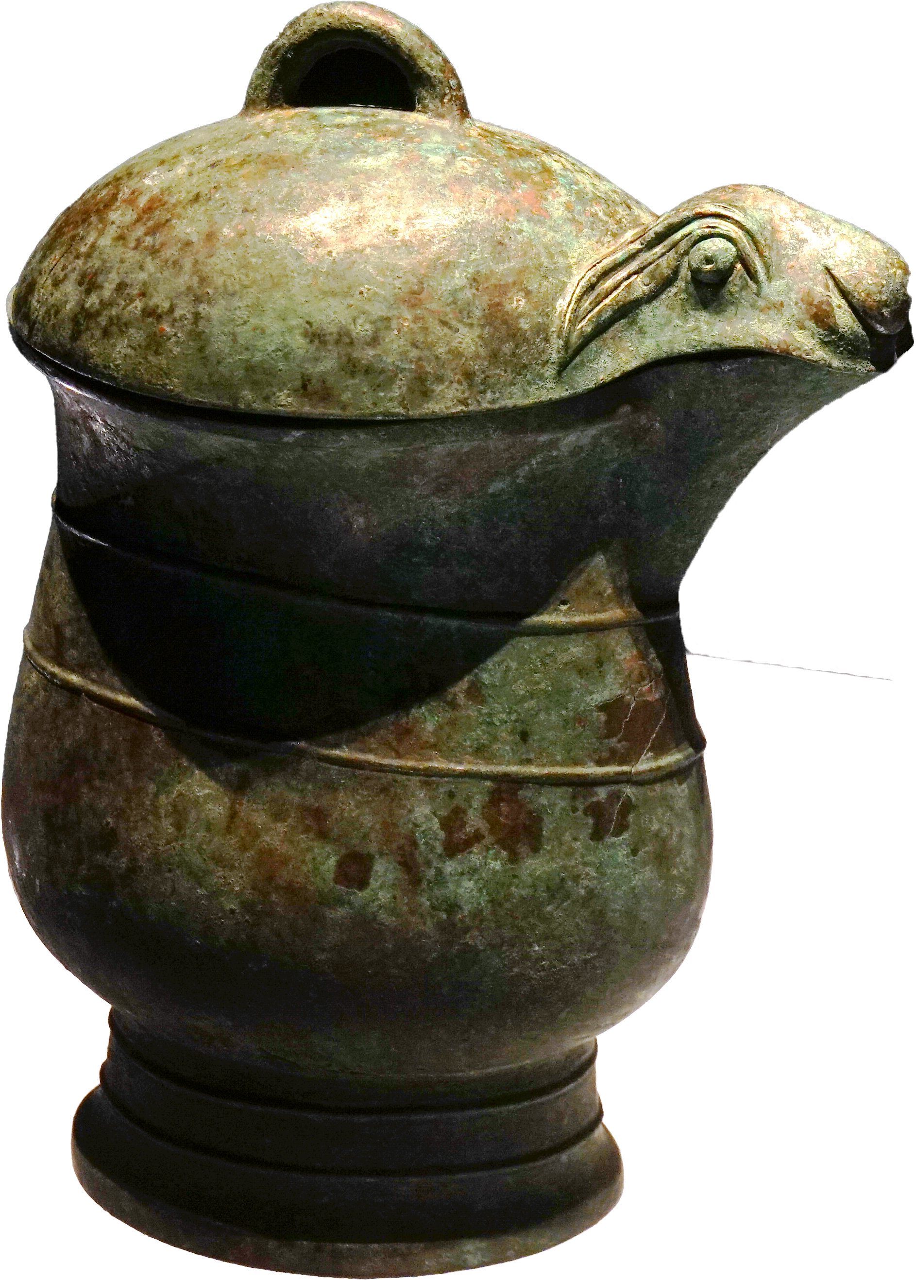 bronze turtle